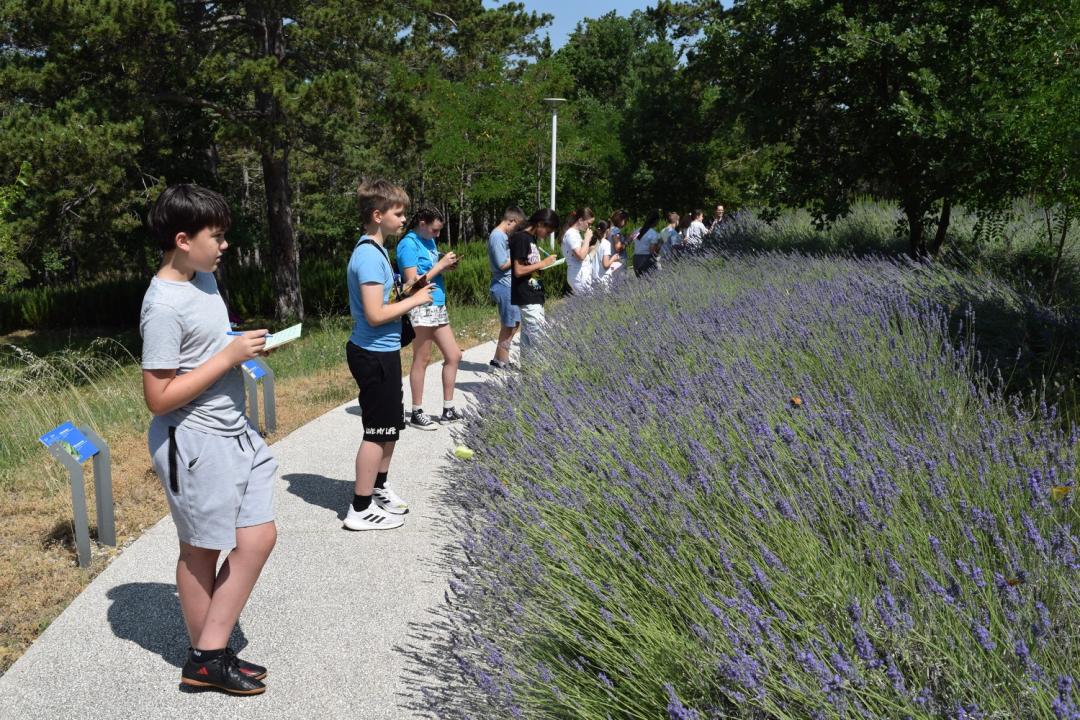 Mladi čuvari prirode u misiji zaštite prirode u NP Krka