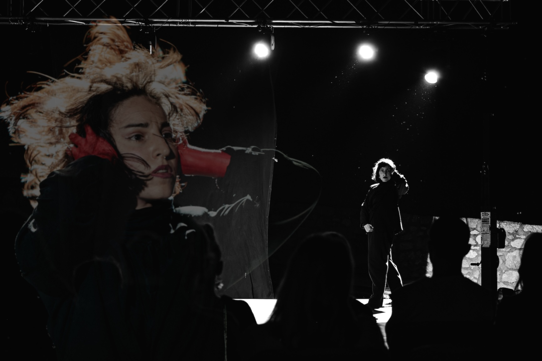 Šibenik Dance Festival