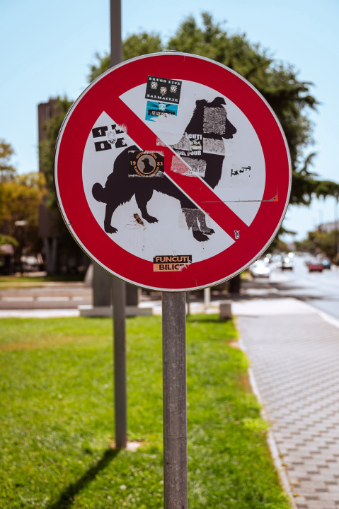 Baldekin 2 i 3: Simbol šibenskog duha, spoj sporta, obrazovanja i sjećanja