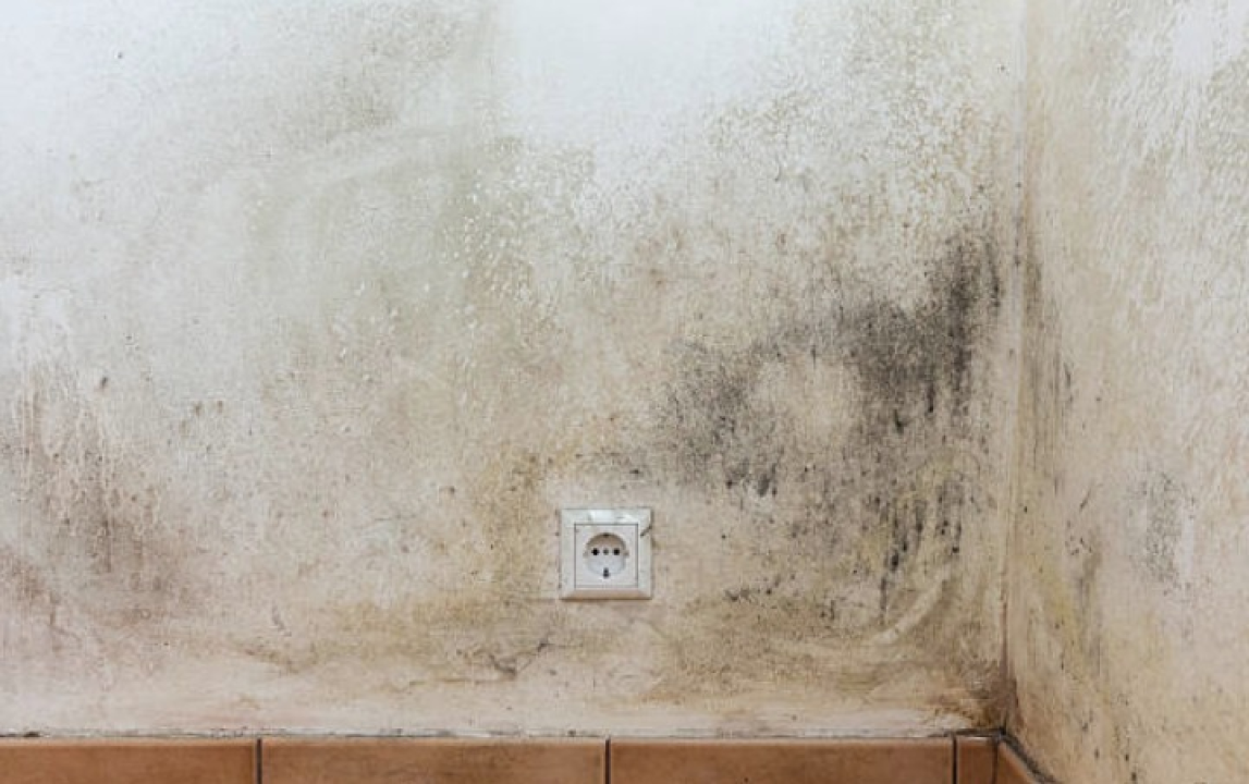 FOTO i-Vent iskustva: 'Majstor je rekao da se 'to ne može'. Sad svi pitaju kako sam se riješila vlage i plijesni, a stan miriše savršeno!'