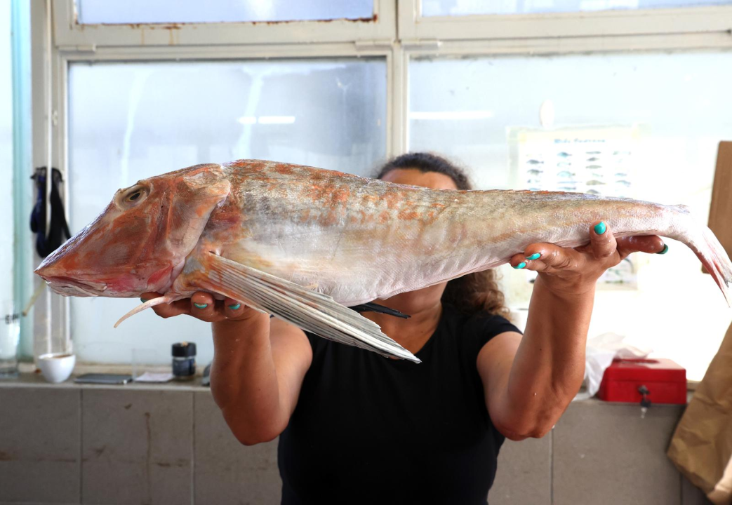 FOTO Petak je, dan od ribe, na šibenskoj peškariji raznovrsna ponuda