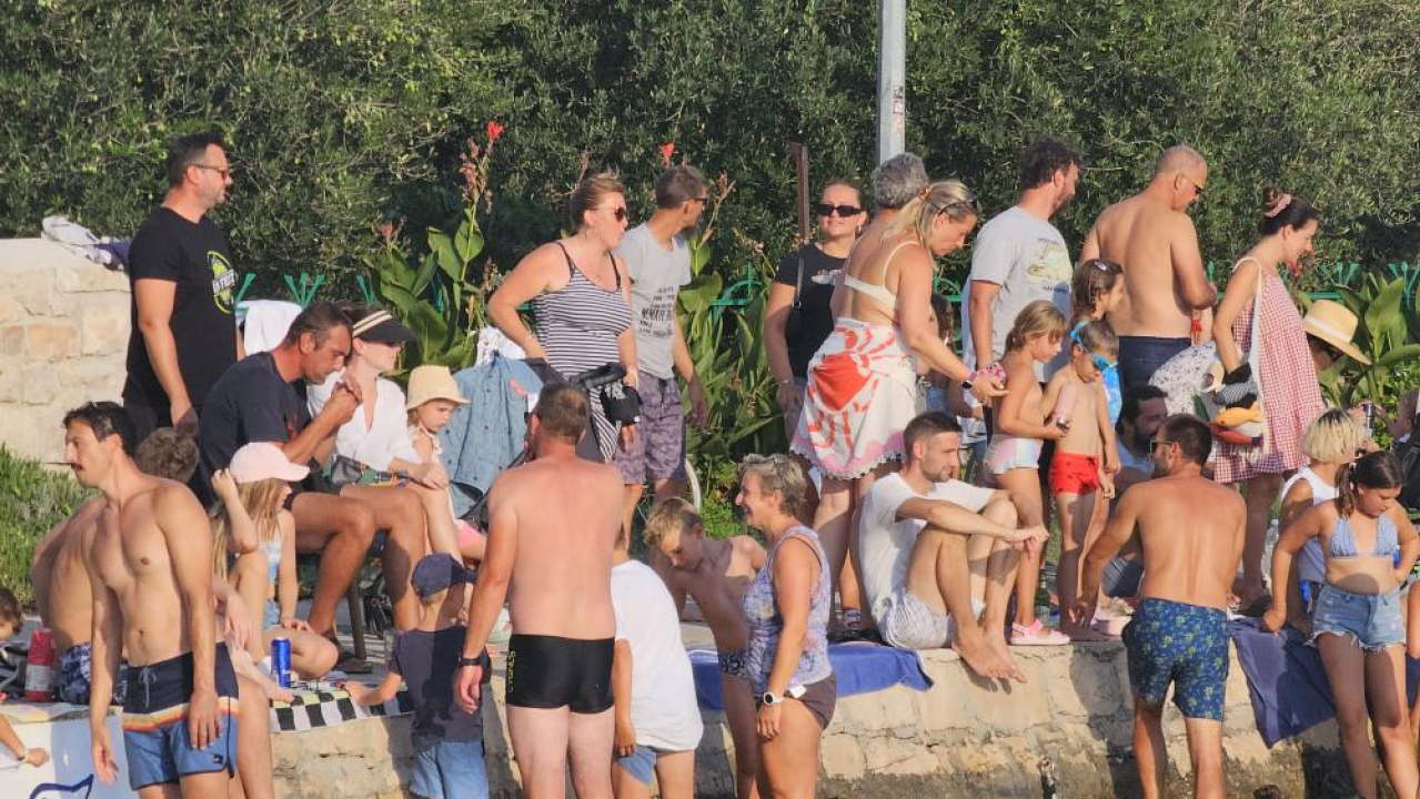 Lov na ciple na teću