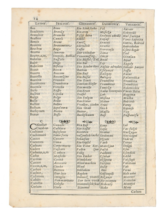 Remek-djelo Šibenčanina Fausta Vrančića: Na današnji dan objavljen prvi riječnik hrvatskog jezika