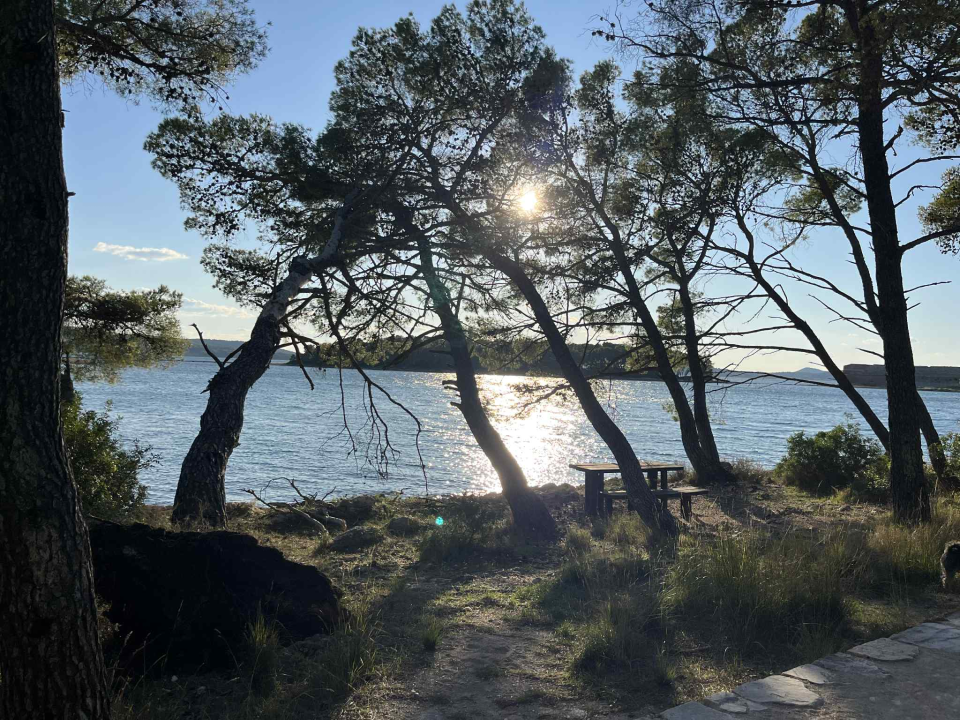 Jaka bura danas odvalila stablo na šetnici sv. Ante. Još se drži, ali pitanje je vremena...