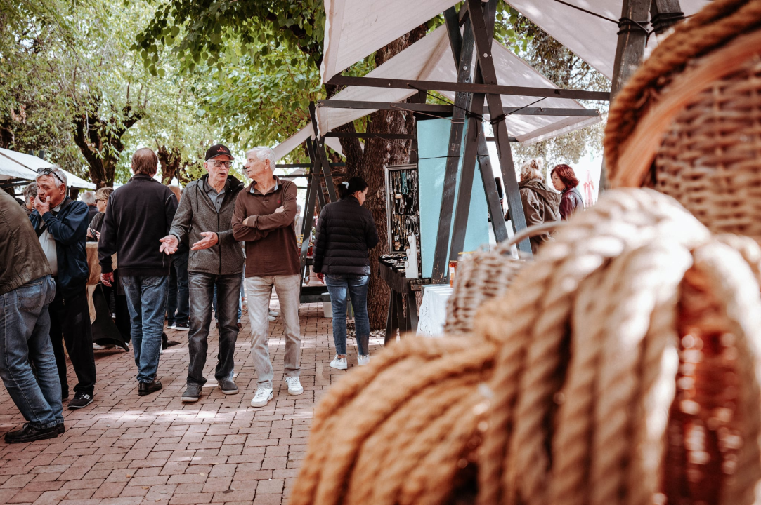 Vodiški Đardin sutra se pretvara u oazu spize i dobrog vina