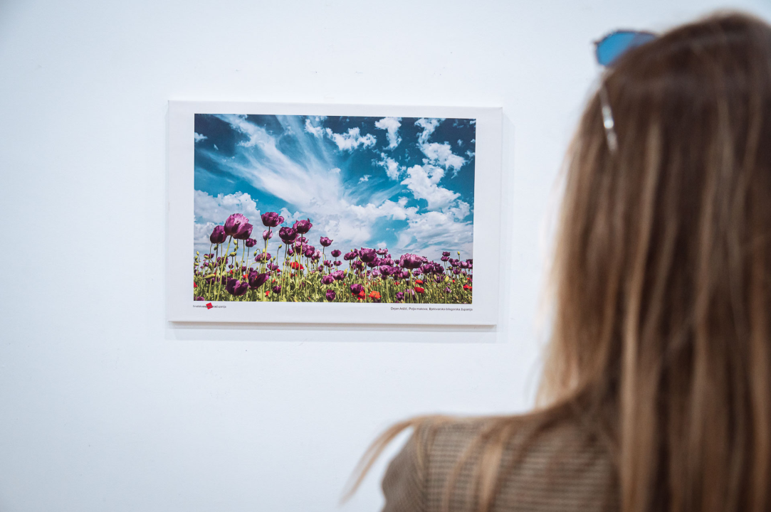 Otvorena izložba 'Volim svoju županiju'