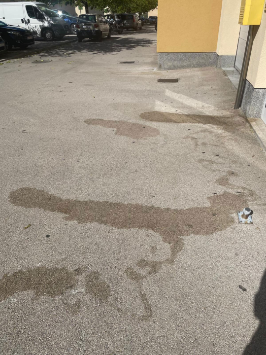 Stanari Jamnjaka ogorčeni: 'Naša ulica pretvorena je u pseći toalet'