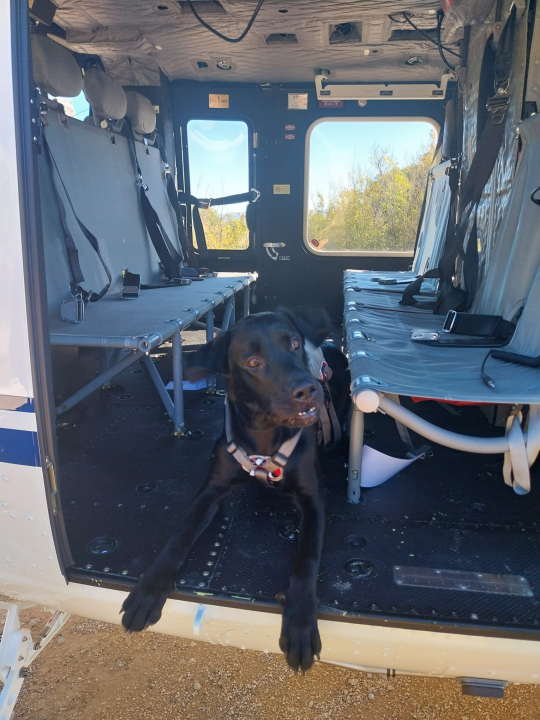 Šibenski HGSS-ovci na obuci helikopterskog spašavanja 