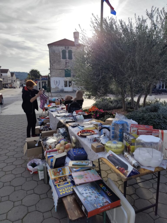 Pirovački buvljak za sterilizaciju i kastraciju mačaka
