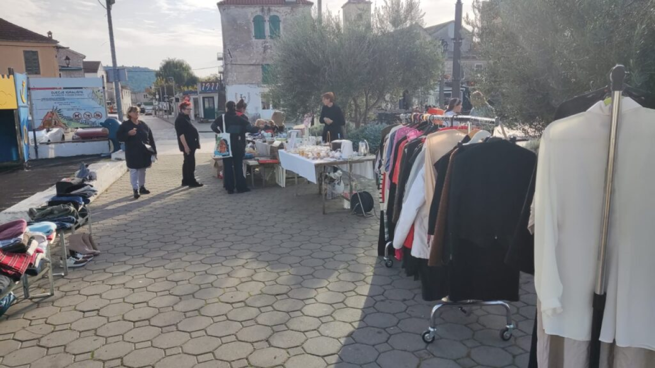 Pirovački buvljak za sterilizaciju i kastraciju mačaka