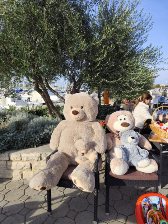 Pirovački buvljak za sterilizaciju i kastraciju mačaka