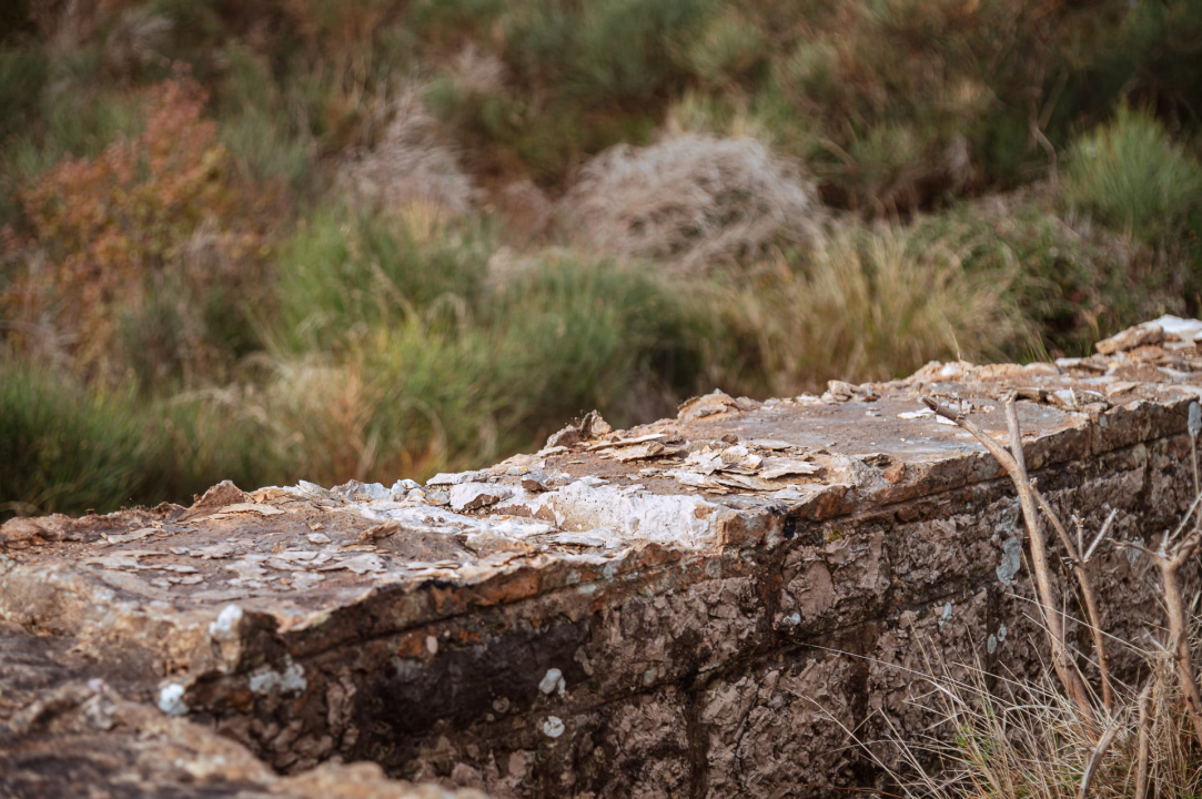 Nestao kamen s gusterne u Dubravi. Denis Škugor: 'Ovo nije sitnica, nego kulturni spomenik iz 1909. godine'