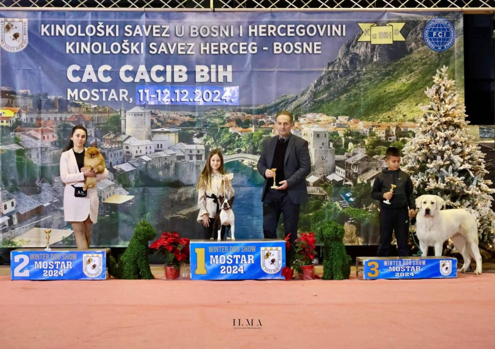 Anđela je najbolji mladi vodič pasa