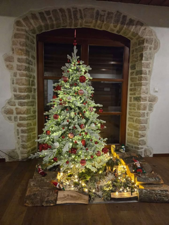 Odluka je pala: Donosimo vam pobjednike izbora najljepše božićne jelke ŠibenikIN-a