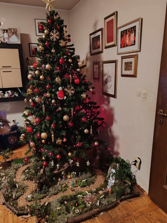 Odluka je pala: Donosimo vam pobjednike izbora najljepše božićne jelke ŠibenikIN-a