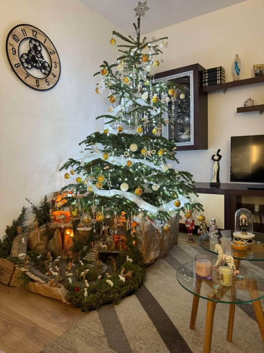 Odluka je pala: Donosimo vam pobjednike izbora najljepše božićne jelke ŠibenikIN-a