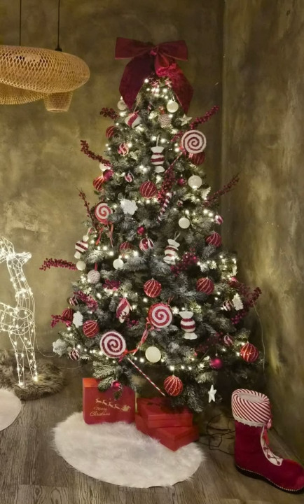 Odluka je pala: Donosimo vam pobjednike izbora najljepše božićne jelke ŠibenikIN-a