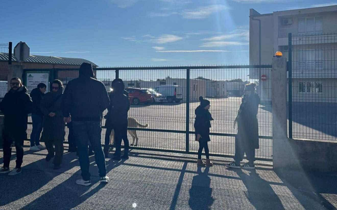 FOTO AS Eko ne želi primiti prikupljenu hranu i deke za pse: 'Idemo u Knin i Zadar ali trebaju nam auti ili kombi'