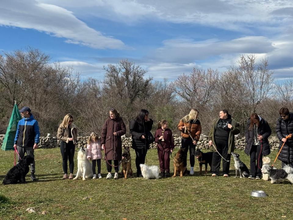 Održano 3. izdanje natjecanja 'Ghetto Dog' u Pokrovniku