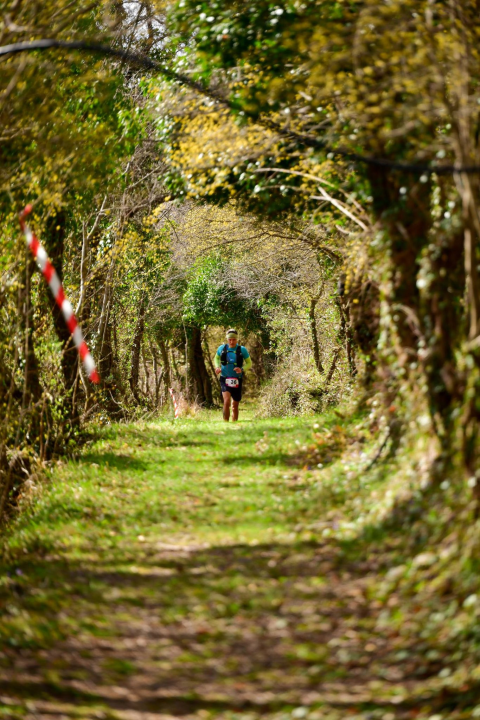 FOTO Održan 'Promina Trail 2026. Drniš': Pobjedniku za 55 km preko Promine trebalo više od šest sati