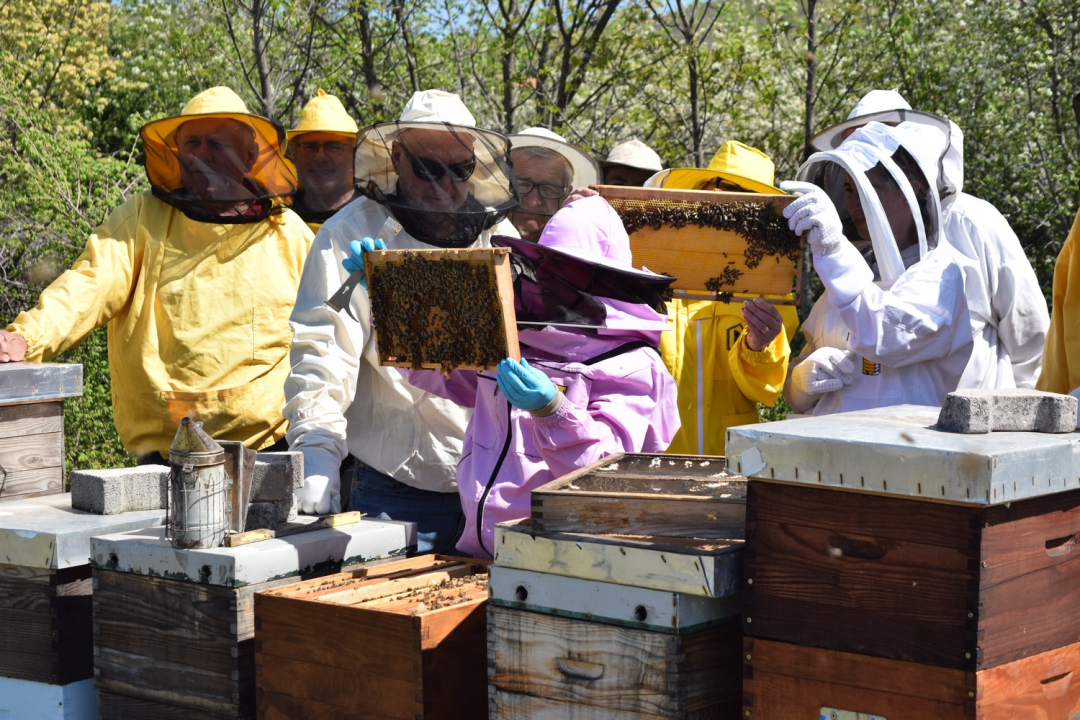 Pčelari s područja rijeke Krke usavršavali svoja znanja