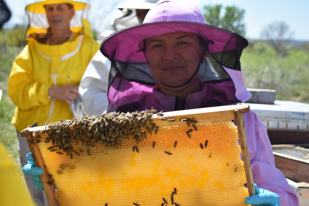 Pčelari s područja rijeke Krke usavršavali svoja znanja