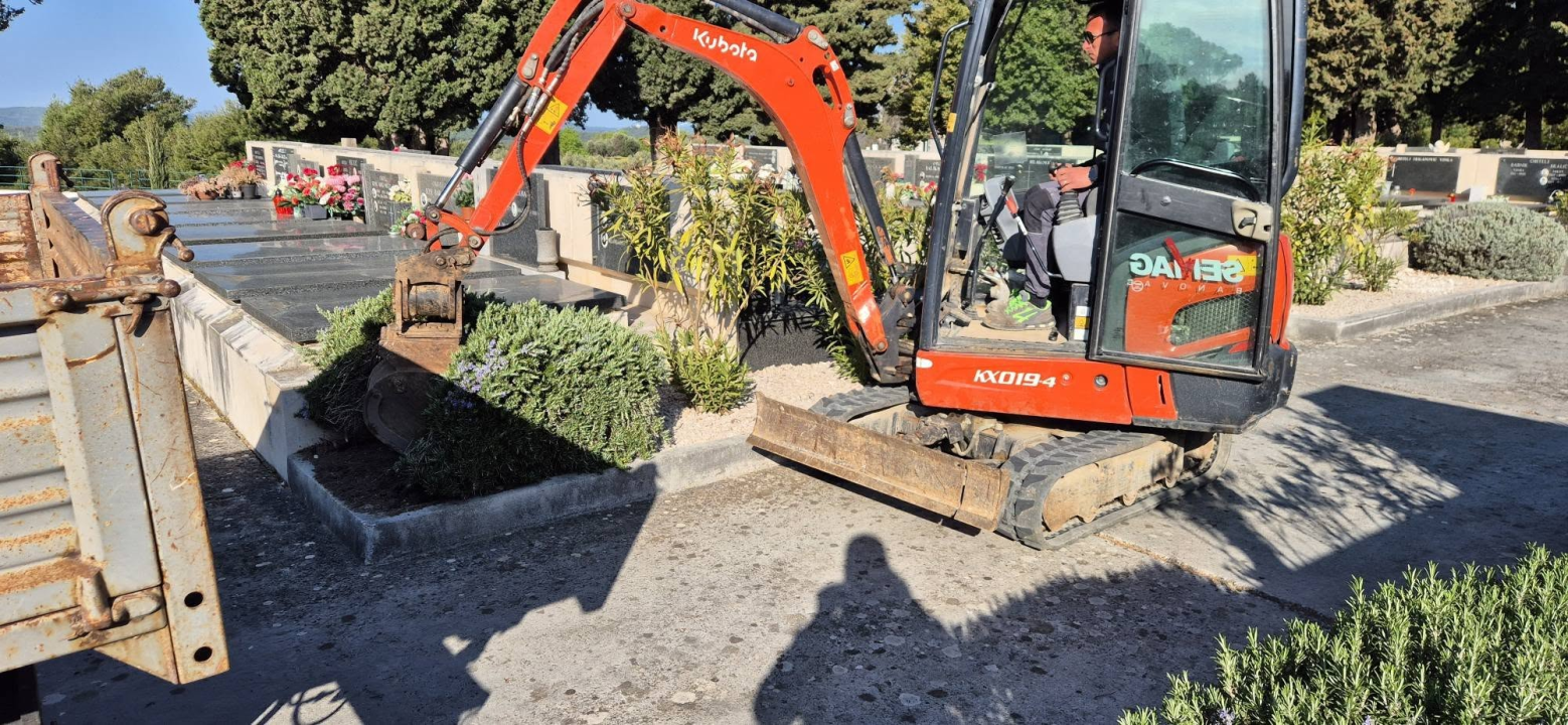 Čempresi završili velik posao: Zasađeno 150 stabala, uklonjeno staro bilje i zamijenjena zemlja