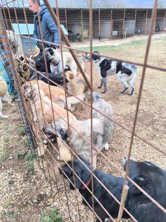 Planinari iz Kaštel Starog posjetili Knin i Kninske njuškice