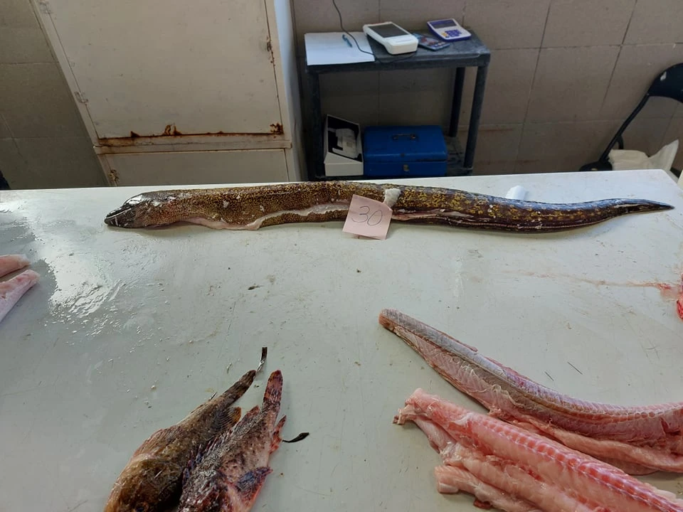 Na peškariji skromna ponuda zbog bure: Srdele, brancini i jedna murina