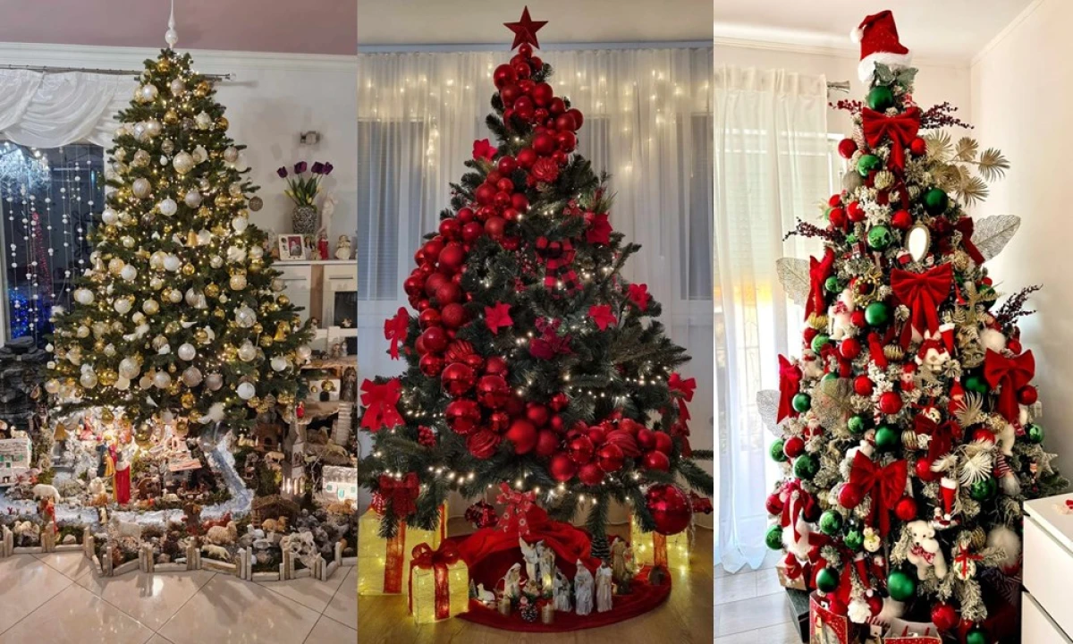 Provjerite tko su pobjednici izbora za naj jelku!
