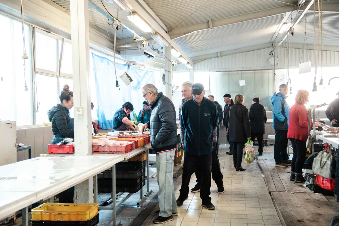 Šibenska peškarija danas nudi hamu, ribu na rubu istrebljenja u Jadranu