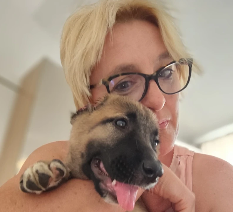 Štene kojem je netko odrezao uši sada živi na ranču kraj Vodica: 'Kod nas je dobila dom i veliku obitelj'