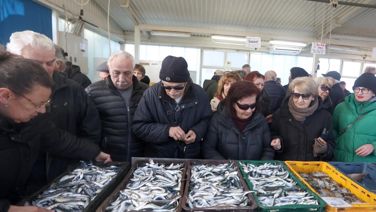 Gotov lovostaj, srdele napunile šibensku peškariju: Sve rasprodano u rekordnom roku