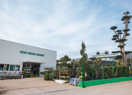 Izaberite nešto baš za sebe iz šarenila cvatnica u Vrtnom centru Dubrava!