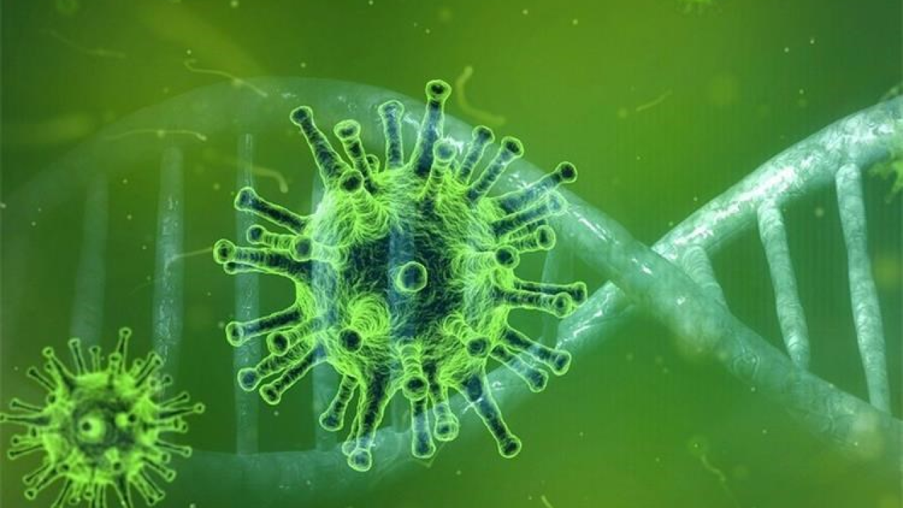 U Srbiji broj novooboljelih ne pada ispod 5000, sustav pod velikim pritiskom