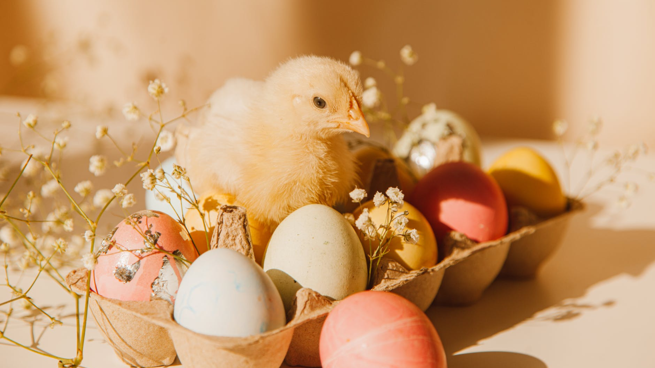 Bojanje jaja jako je star uskrsni običaj: Nekada su ih djevojkama darivali zaljubljeni mladići