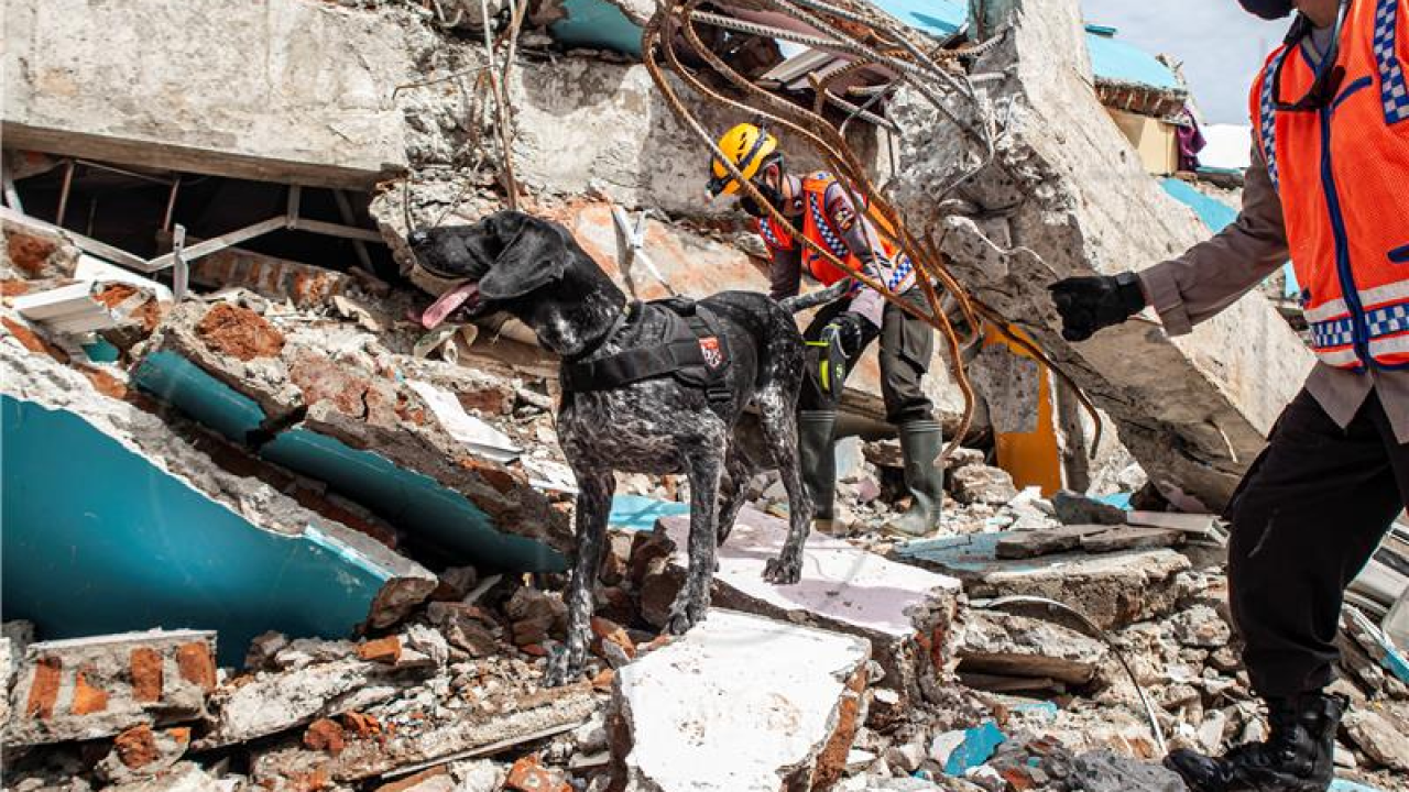 Snažan potres u Indoneziji, najmanje šest mrtvih, evakuirana sela