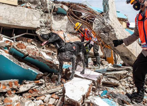 Snažan potres u Indoneziji, najmanje šest mrtvih, evakuirana sela