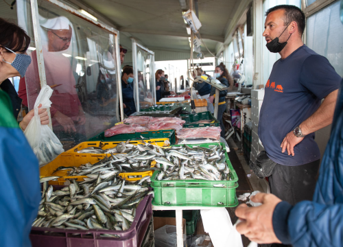 Obratite pažnju: U svibnju na peškariji ne smije biti niti jedna jedina friška srdela
