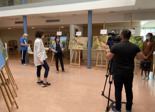 U šibenskoj knjižnici izložba fotografija ugroženih hrvatskih ptica snimljenih uz Krku