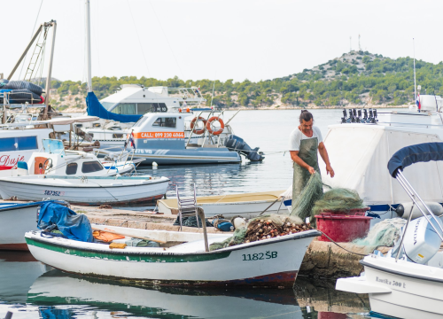 U Jadranu se pojavila nova invazivna vrsta: Vatrenjača uništava sve pred sobom, a ubod joj je gori od paukovog