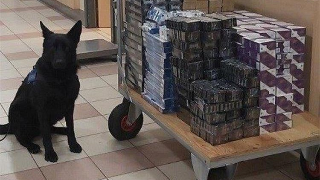 U akciji policije i Uskoka razbijena skupina krijumčara cigareta i duhana