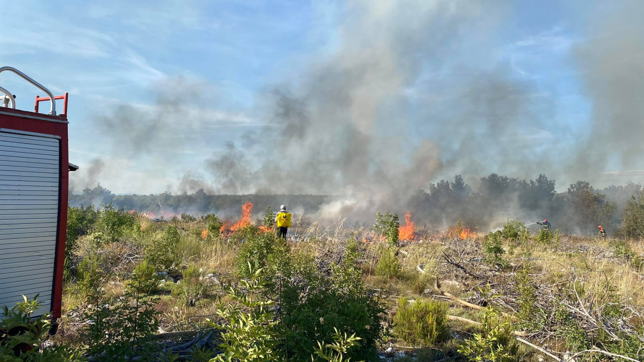 Lokaliziran požar koji je buknuo na području Lozovca: Gorjela trava i nisko raslinje