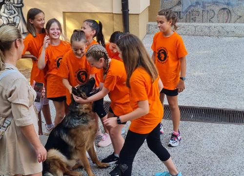 Fotografija 3 - Ivana Guberina s mladom ekipom snima film o Draženu: Danas su pregledali školske ocjene šibenskog virtuoza