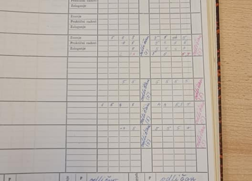 Fotografija 11 - Ivana Guberina s mladom ekipom snima film o Draženu: Danas su pregledali školske ocjene šibenskog virtuoza