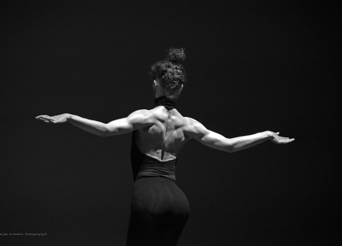 Srpske i mađarske plesačke zvijezde oduševile publiku u Kući umjetnosti Arsen