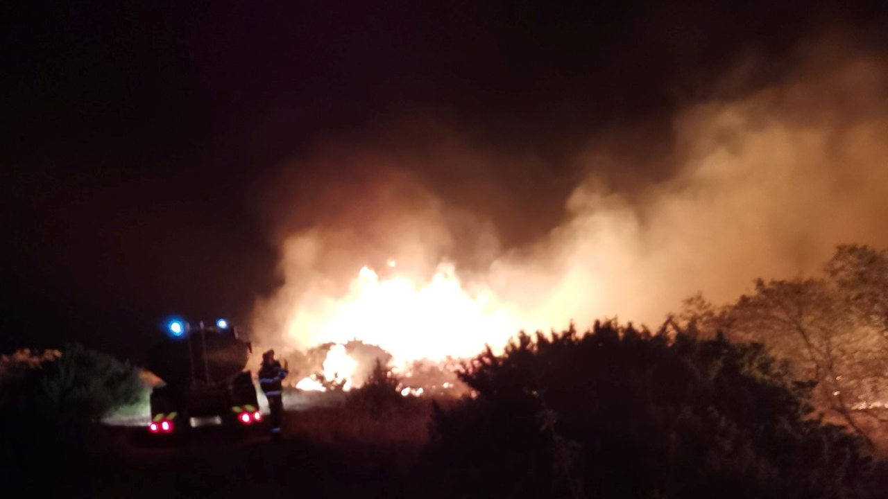 Lokaliziran požar kod Danila: Izgorjelo 500 hektara trave, niskog raslinja i hrastove šume