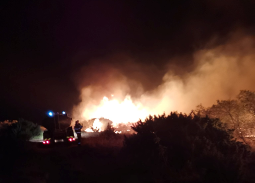 Lokaliziran požar kod Danila: Izgorjelo 500 hektara trave, niskog raslinja i hrastove šume