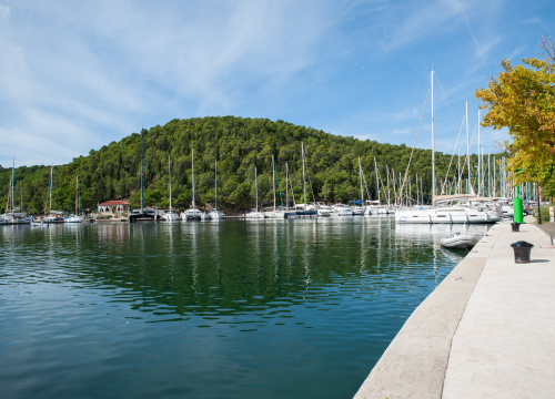 Mađar u Skradinu skakao s jahte, skočio na labuda i usmrtio ga: 'Ekipi na brodu je sve bilo urnebesno smiješno, ovo ne smije proći nekažnjeno'