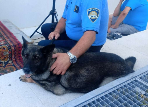 Aria u vodičkom apartmanu nanjušila marihuanu, kokain, speed, MDMA, LSD i ketamin: Dvije osobe kazneno prijavljene